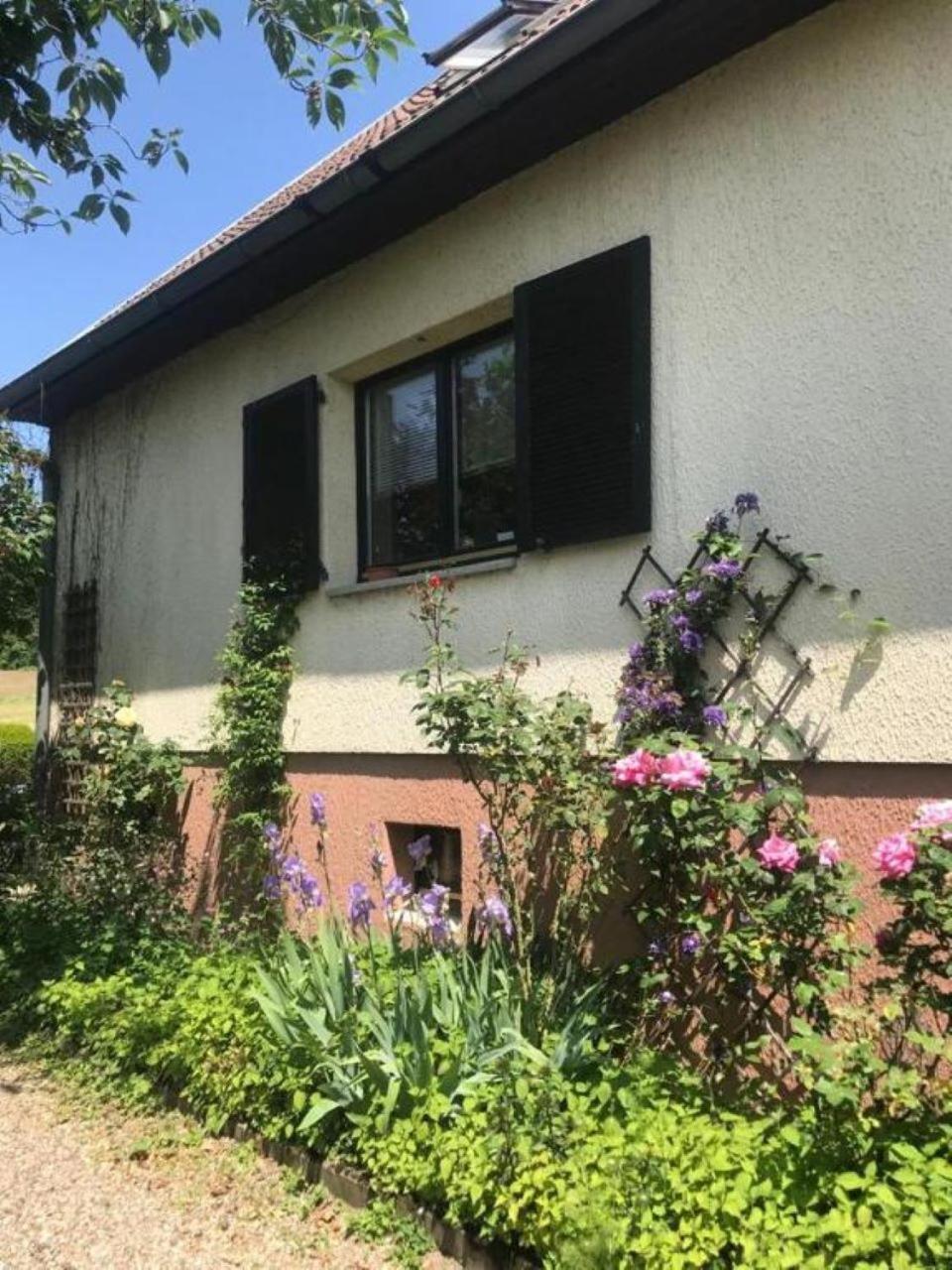 La Maison Des Roses Drachenbronn-Birlenbach Exterior photo