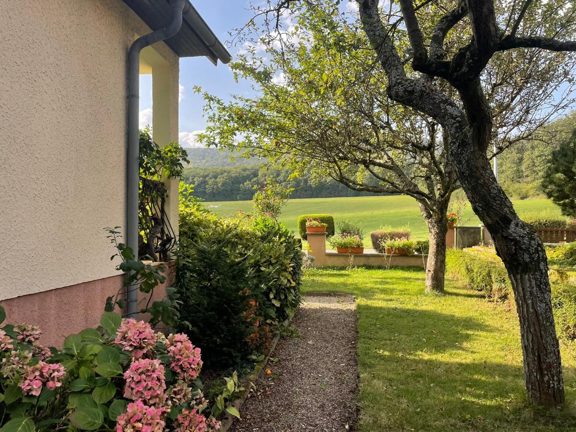 La Maison Des Roses Drachenbronn-Birlenbach Exterior photo